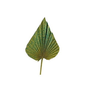 Dried Artz Palm Spear Xl Van Gogh P Stem
