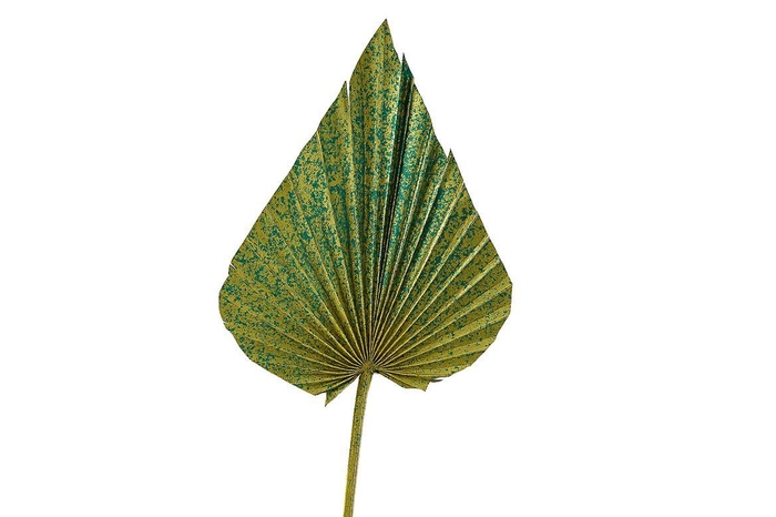 <h4>Dried Artz Palm Spear Xl Van Gogh P Stem</h4>