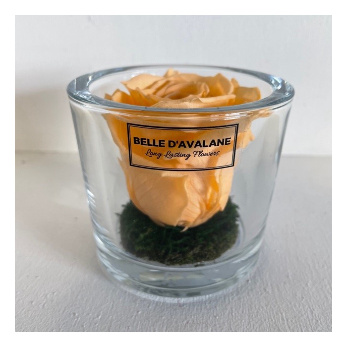 <h4>Cilinder d9x8h perzik roos glas</h4>