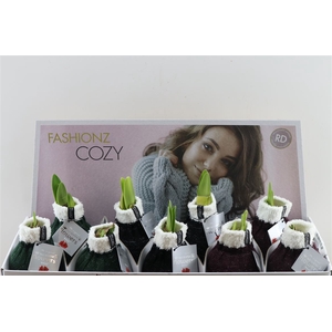 Wax Hipp Cozy Wooly Mix