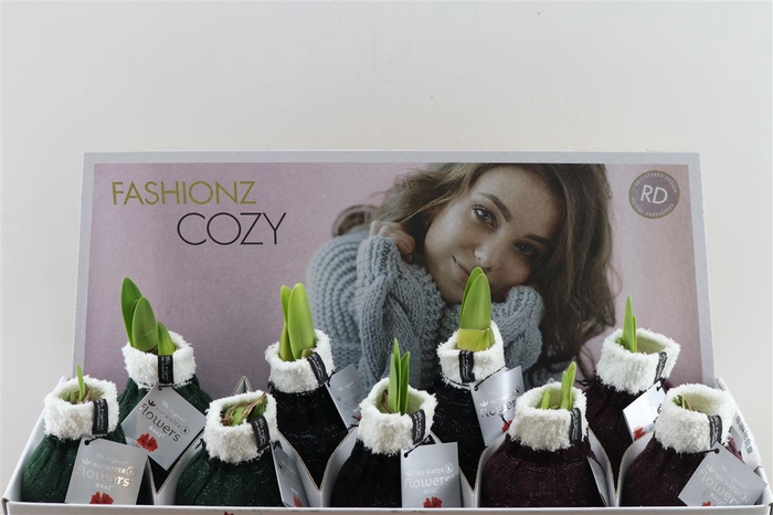 <h4>Wax Hipp Cozy Wooly Mix</h4>