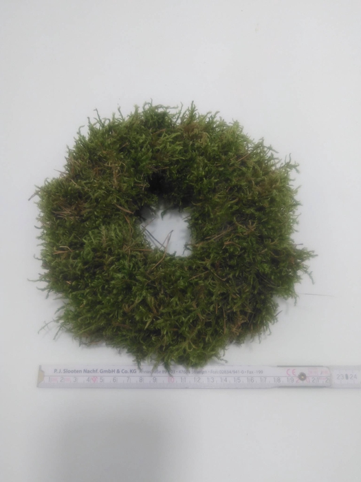 <h4>KRANZ 06 MOOS 15CM</h4>
