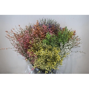 Ginster 200gr Mix Pbs