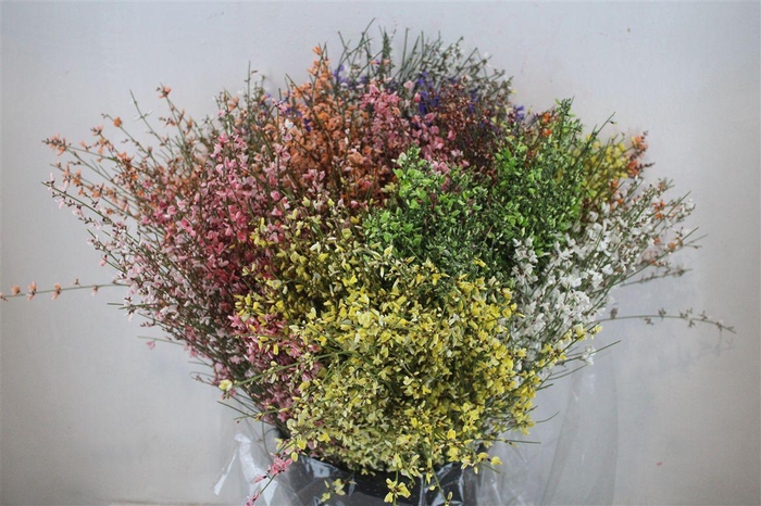 <h4>Ginster 200gr Mix Pbs</h4>