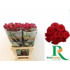 R Tr Mirabel