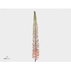 EREMURUS MACARENA