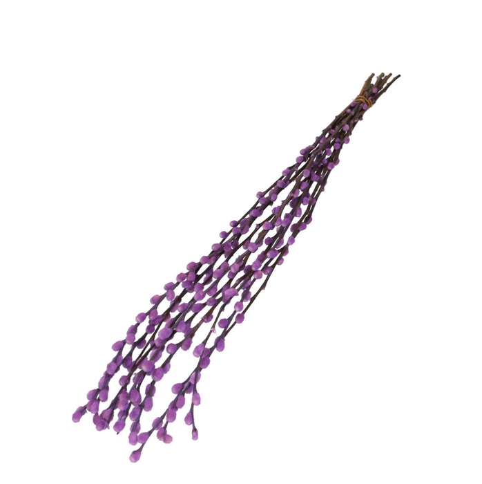 <h4>Dried flowers Willow catkins 70cm</h4>