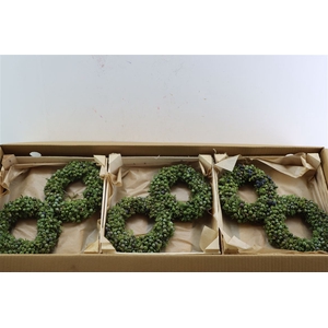 Wr Sierfruit Juniperus Green 20cm