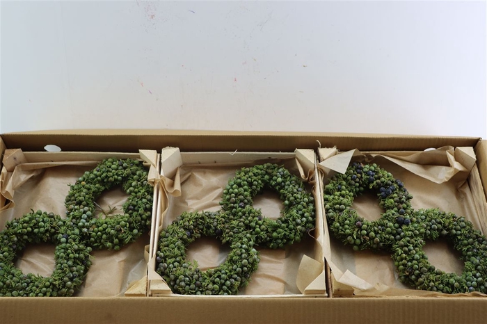 <h4>Wr Sierfruit Juniperus Green 20cm</h4>