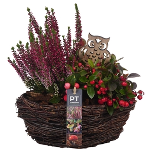 Arr.   Tuinplanten L%