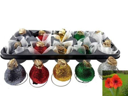 <h4>Bloembol Hippeastrum</h4>