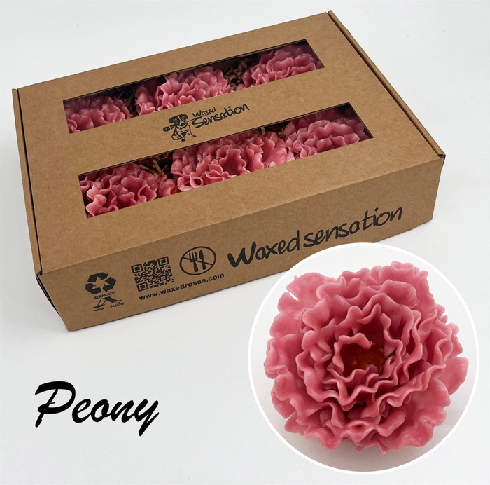 <h4>Zijde Pioen Wx Oud Roze</h4>