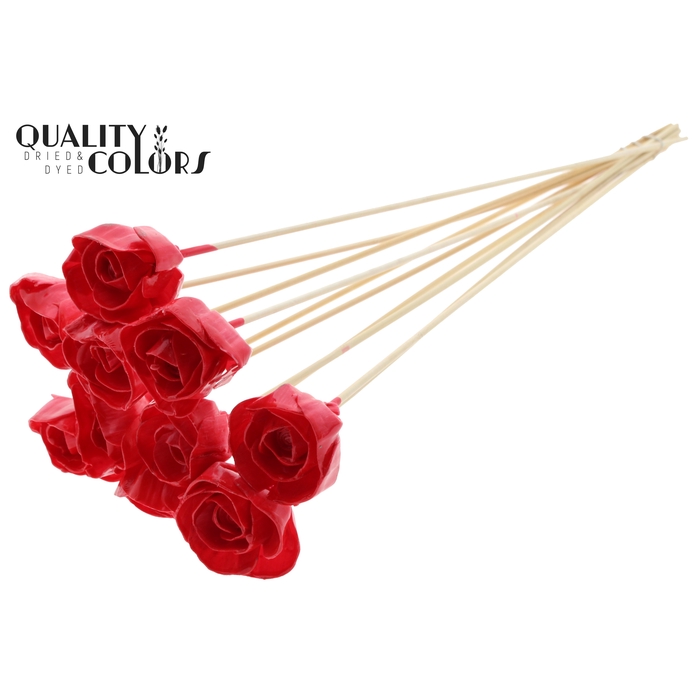 <h4>Shola Dear Holly 6cm on stem Wax Red</h4>