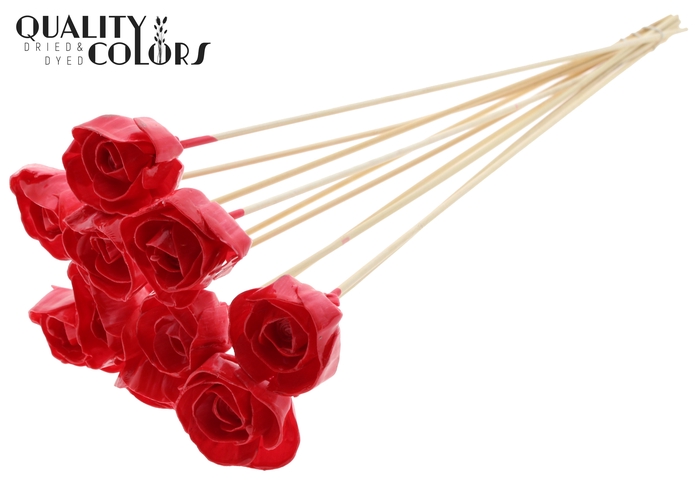 Shola Dear Holly 6cm on stem Wax Red