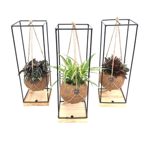 Kokodama 15 cm Industrial Eden collection Hanging concept