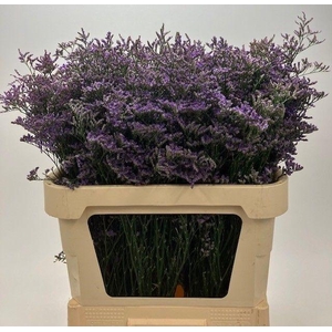 LIM SAF CLASSIC BLUE