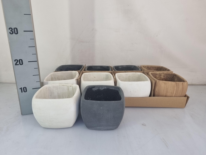 <h4>HUIS EN TUINDECO H%</h4>