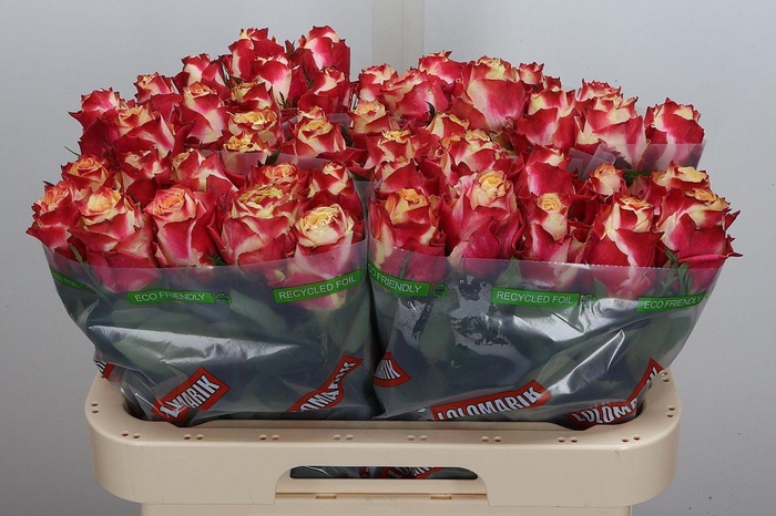 <h4>R Gr Chapeau</h4>