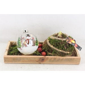 arr4 Amaryllis MB - Hout tray kerstbal LED
