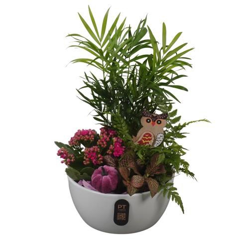 <h4>PTHI3241 Arrangement Autumn Indoor in keramiek schaal</h4>