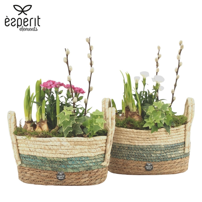 <h4>11701: Outdoor spring arrangement</h4>