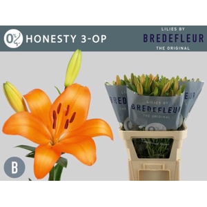 Li La Honesty 3 Op Bredefleur
