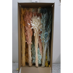 Dried Lagurus Mix