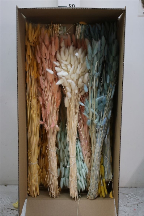 <h4>Dried Lagurus Mix</h4>