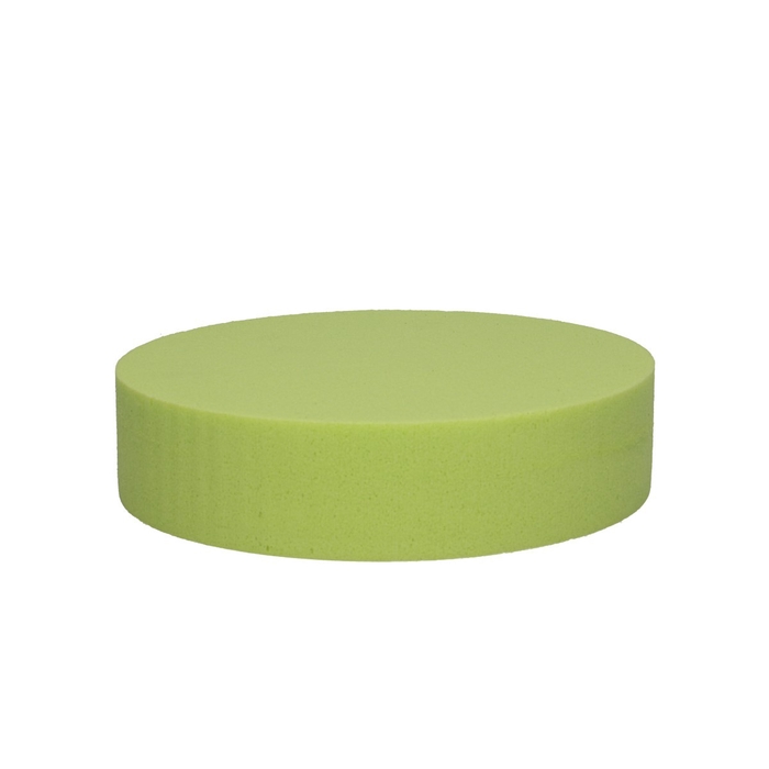 <h4>Oasis Kleur Cake d20*5cm</h4>