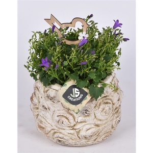 Cement pot bloemdecor 13,5cm