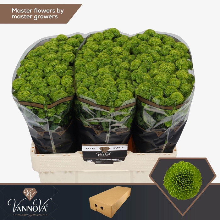 <h4>Chr S Peptalk</h4>