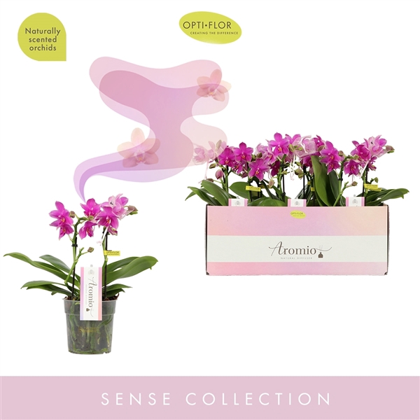 <h4>Aromio Cherry Blossom 2 spike</h4>