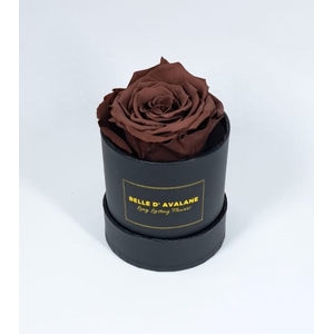 Box rd 8cm zwart-grape (grp02)