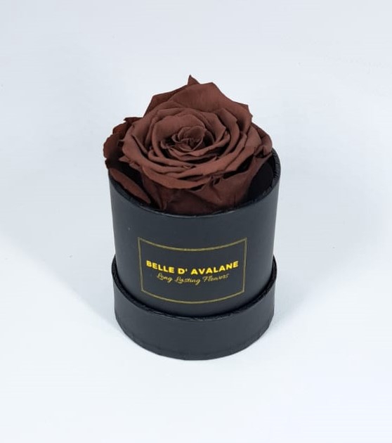 Box rd 8cm zwart-grape (grp02)