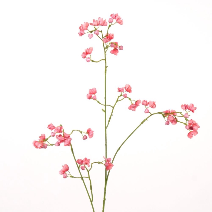 <h4>AF Euonymus Spray L91cm Coral</h4>