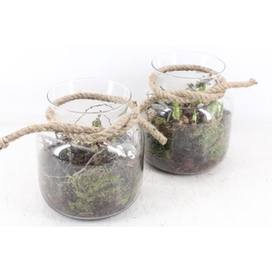 arr4 Bollenmix MB - Glas vase touw 285/5