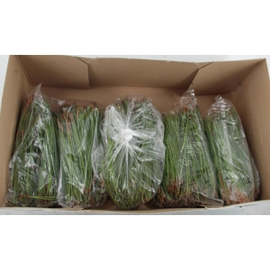 DECOGROEN OV