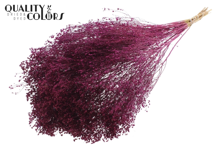 <h4>Droogbloemen   ...bewerkt H%</h4>