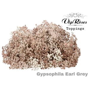 GYPS PA EARL GREY
