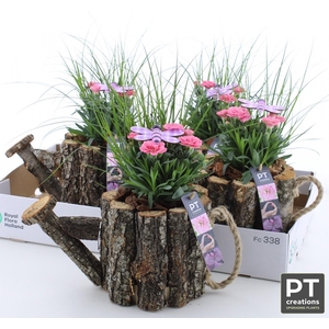 ARR TUINPLANTEN
