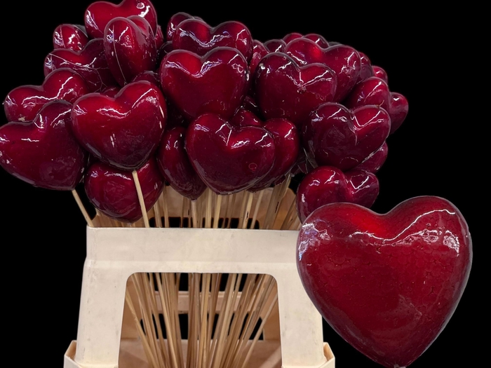 <h4>HARTJE OP STOK H%</h4>