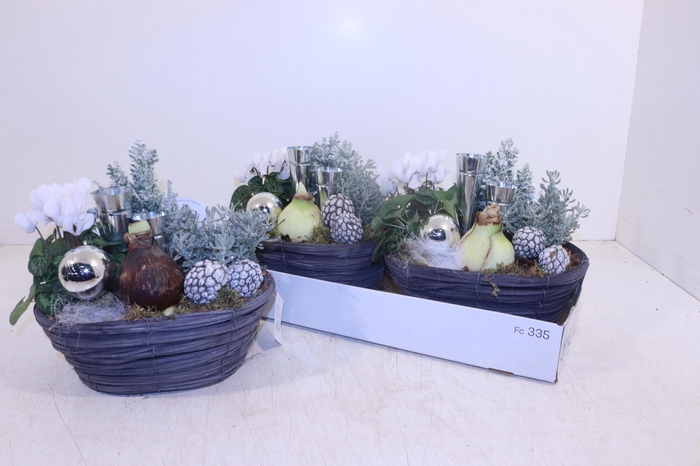 <h4>ARR HIPPEASTRUM</h4>