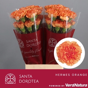 DI ST HERMES ORANGE