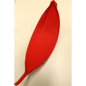 DROOG MARIPA ROOD XX