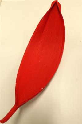 <h4>DROOG MARIPA ROOD XX</h4>