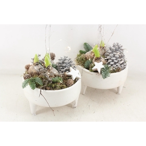 arr4 Hyacint MB - Ker. schaal white pootjes LED