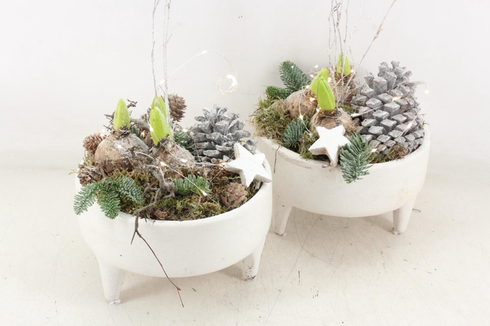 <h4>arr4 Hyacint MB - Ker. schaal white pootjes LED</h4>