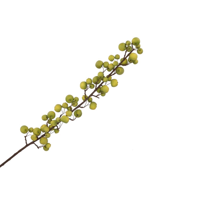 <h4>Silk Apple Sentinel Green 135cm Nm</h4>