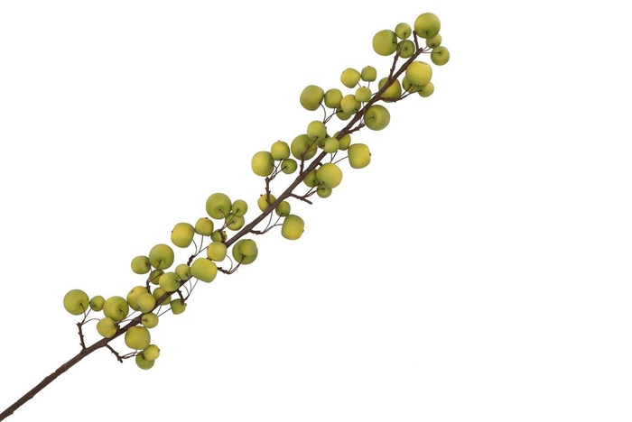 <h4>Silk Apple Sentinel Green 135cm Nm</h4>