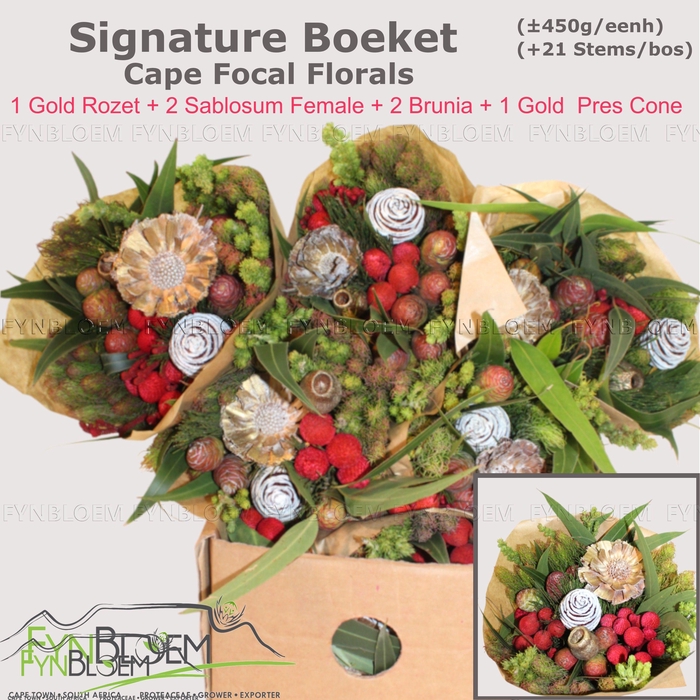 <h4>KAAPS GROE GEM IN BS</h4>